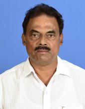 Shri Nilkanth Halarnkar